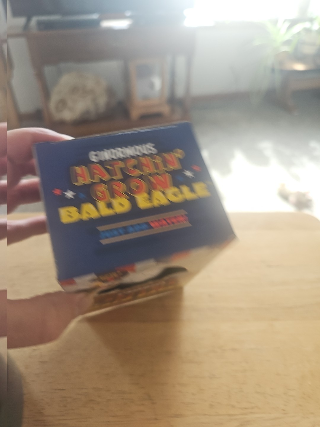 Toysmith Ginormous Hatchin' Grow Bald Eagle Egg Just Add Water