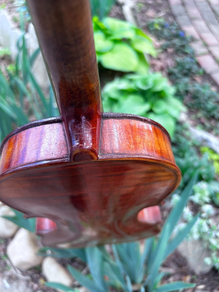 violin