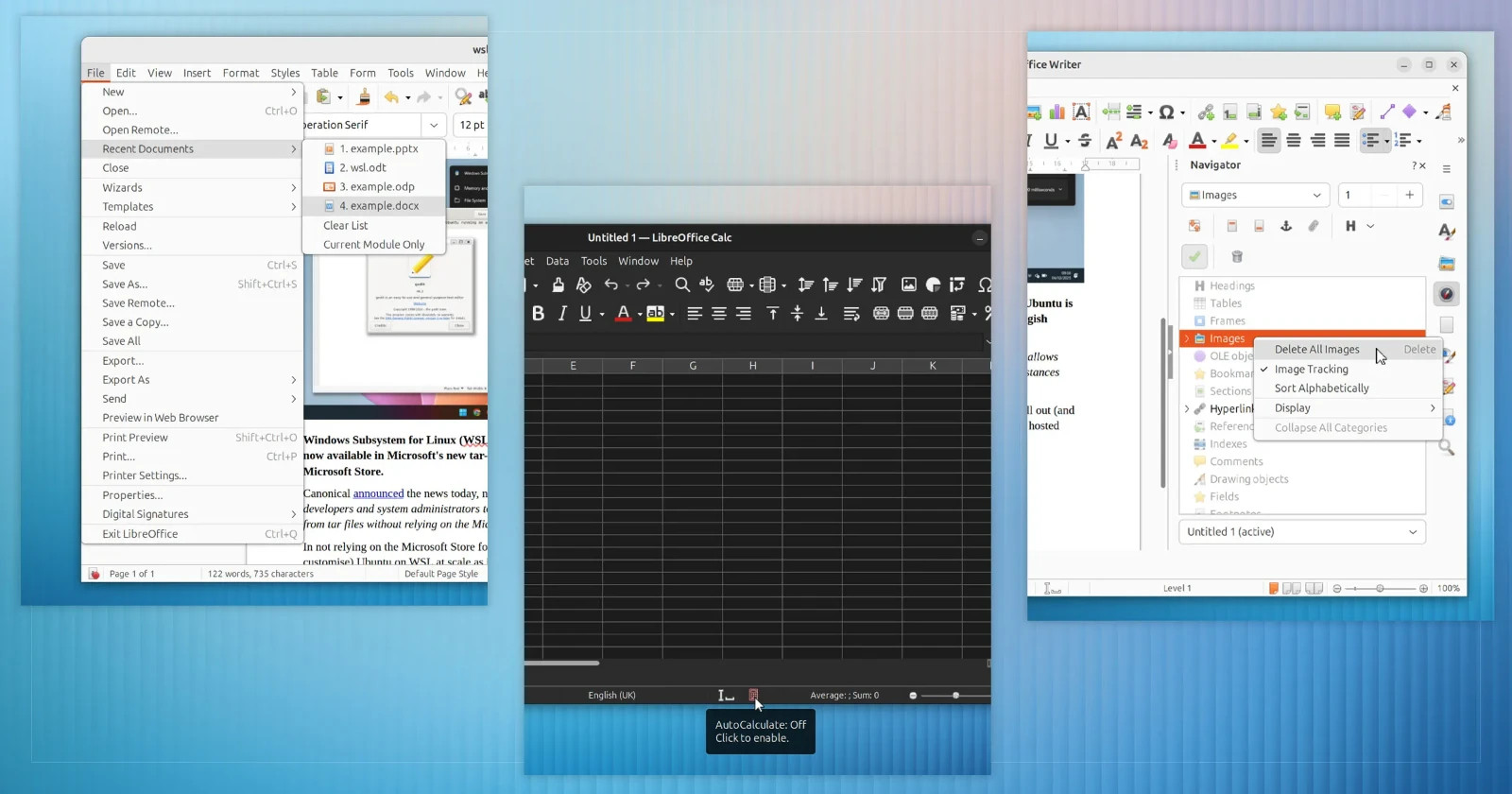 LibreOffice Deluxe 2025 Software ~ Word Process Home Student Business ~ Linux