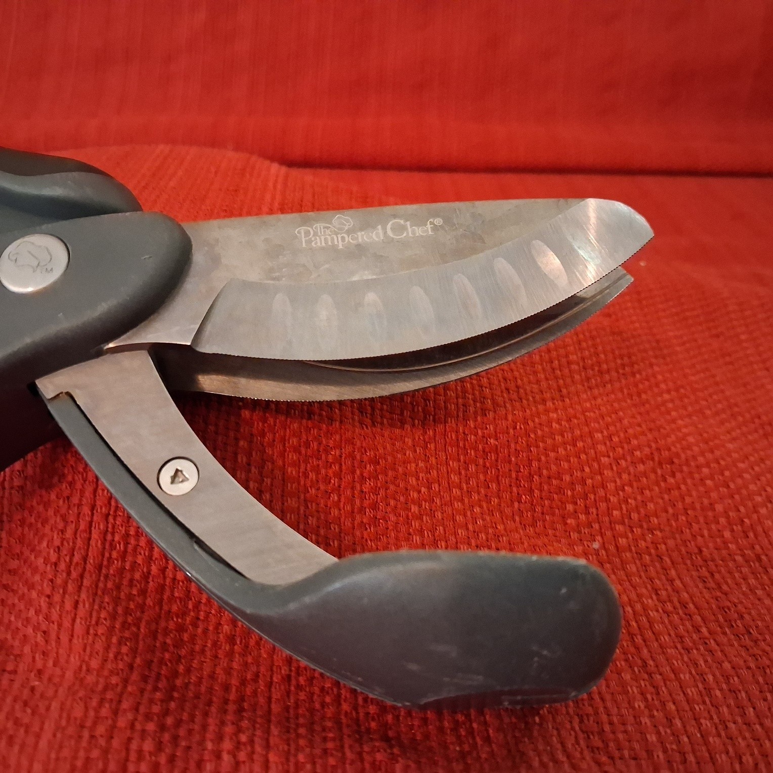 Pampered Chef Double Blade Salad Herb Vegetable Shears Scizzors