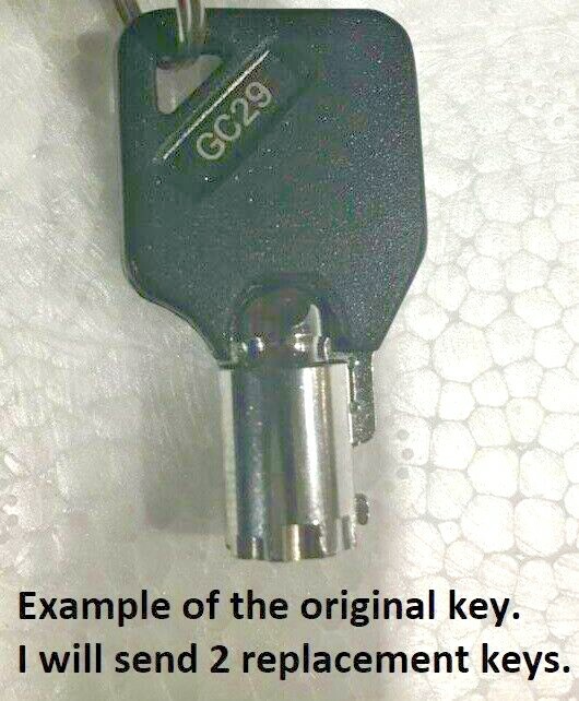GC29 2 NEW KEYS Sentry Pistol Safe Code: GC29 Handgun Key Models QAP1E & QAP1BE