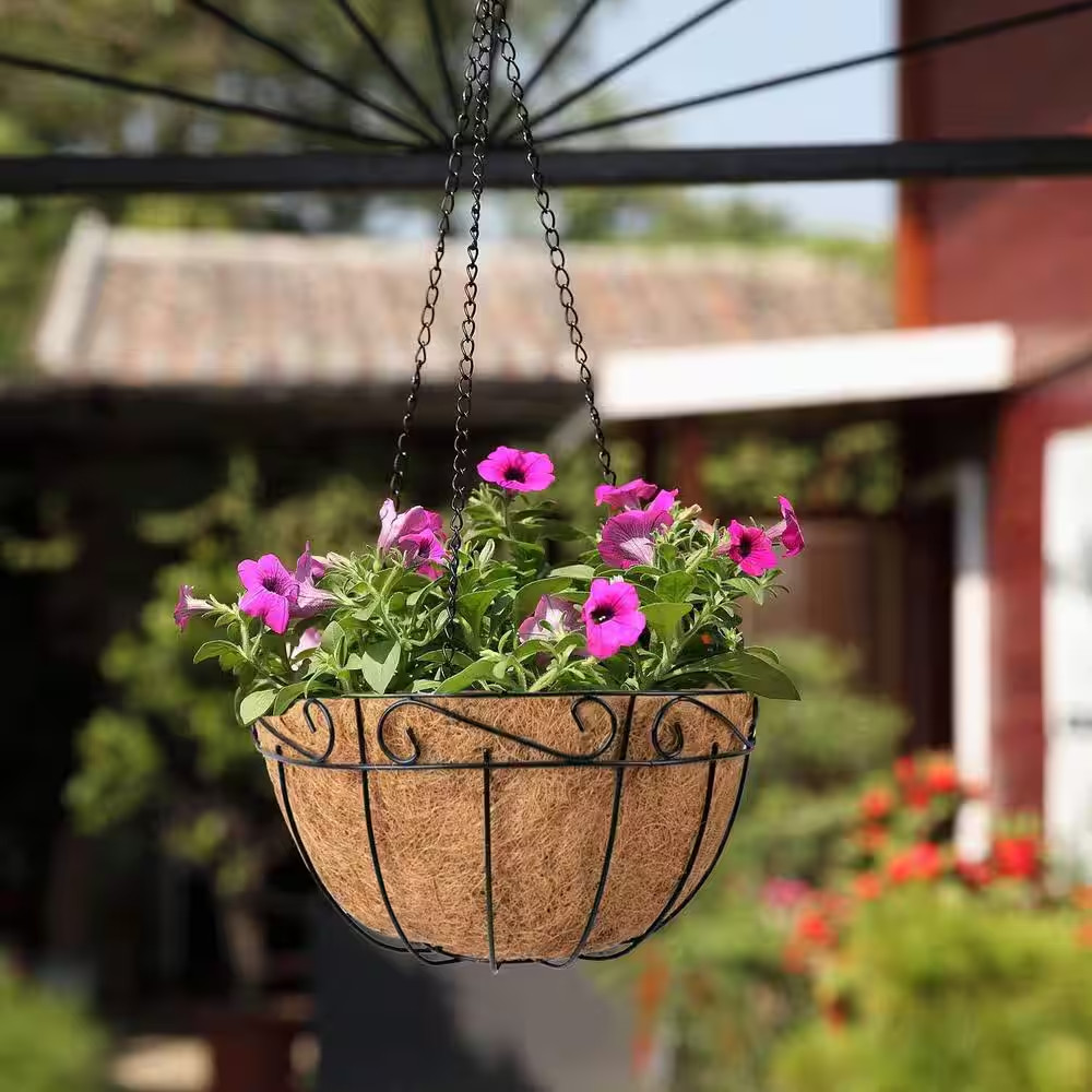 Large 14 In. Dia Black Metal Hanging Basket with Coco Liner (4-Pack)