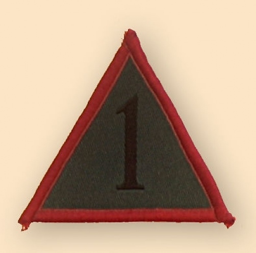 NEW OFFICIAL 1 Mech. Brigade TRF, colour