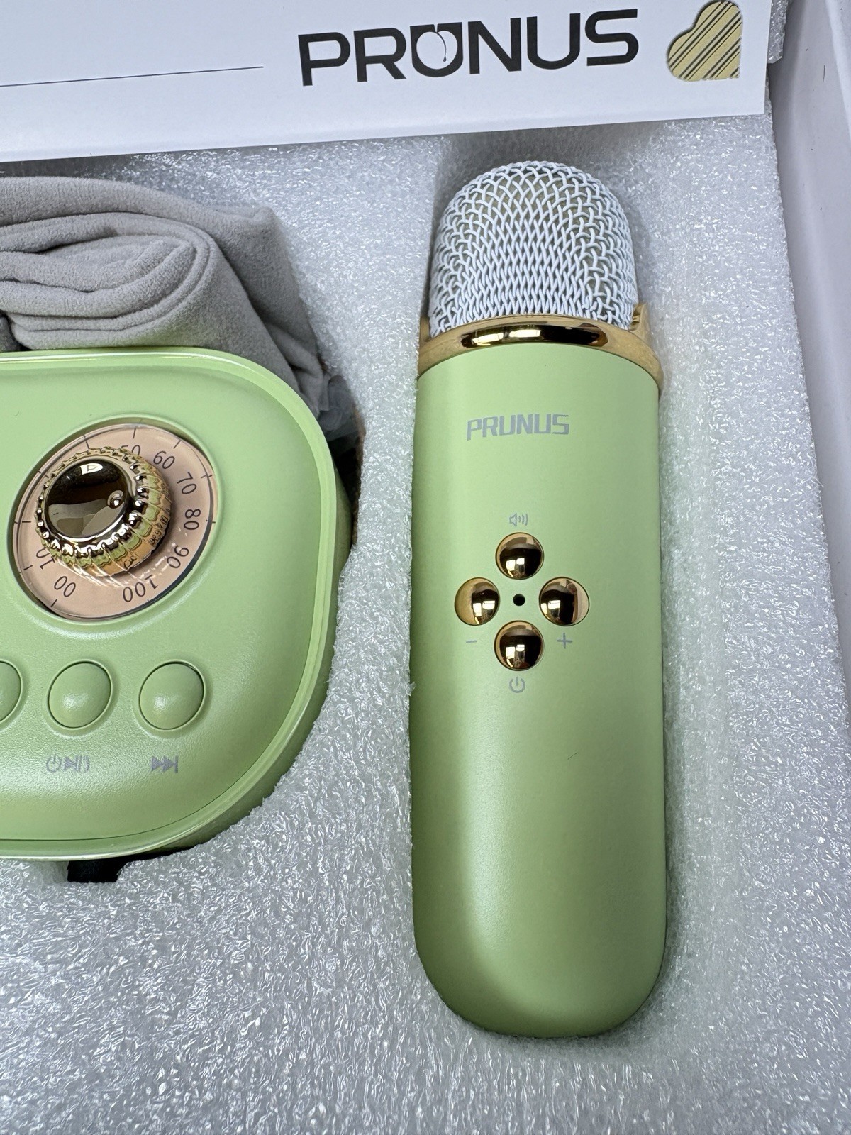 PRUNUS C20 Mini Karaoke Machine Portable Bluetooth Speaker