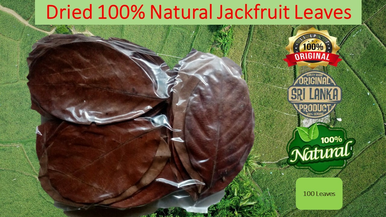 BioFilm Organic Dried Jack fruit Leaves for Shrimp Aquarium 100 PCS Pack