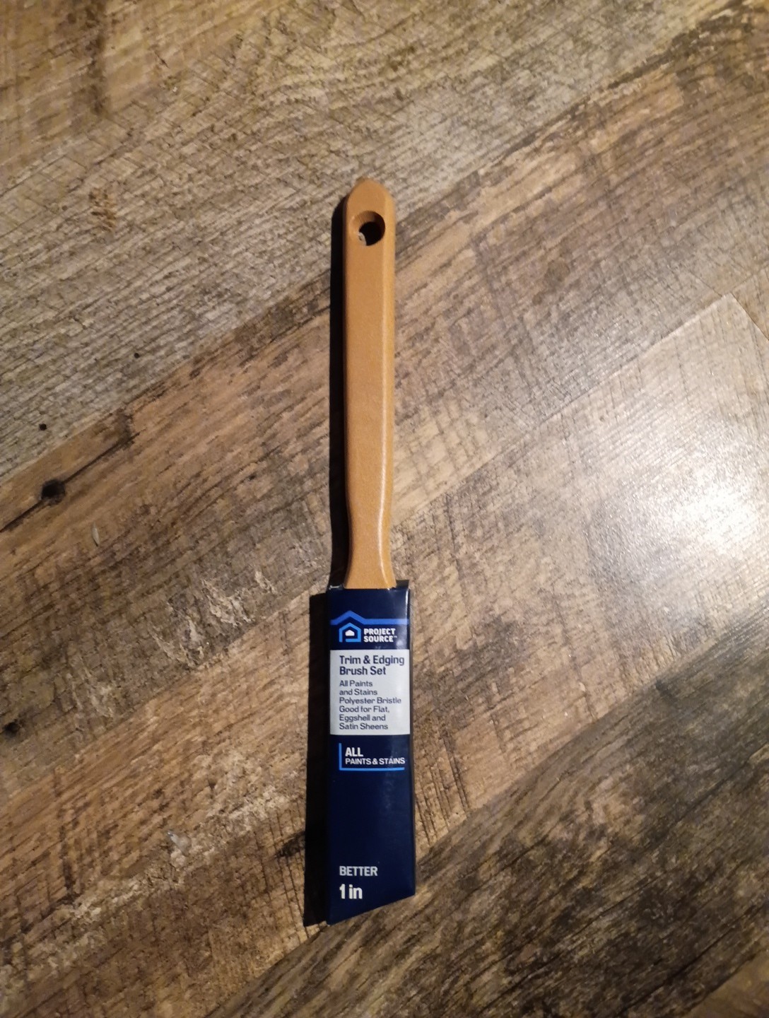 1 Inch Project Source Paint Bruch