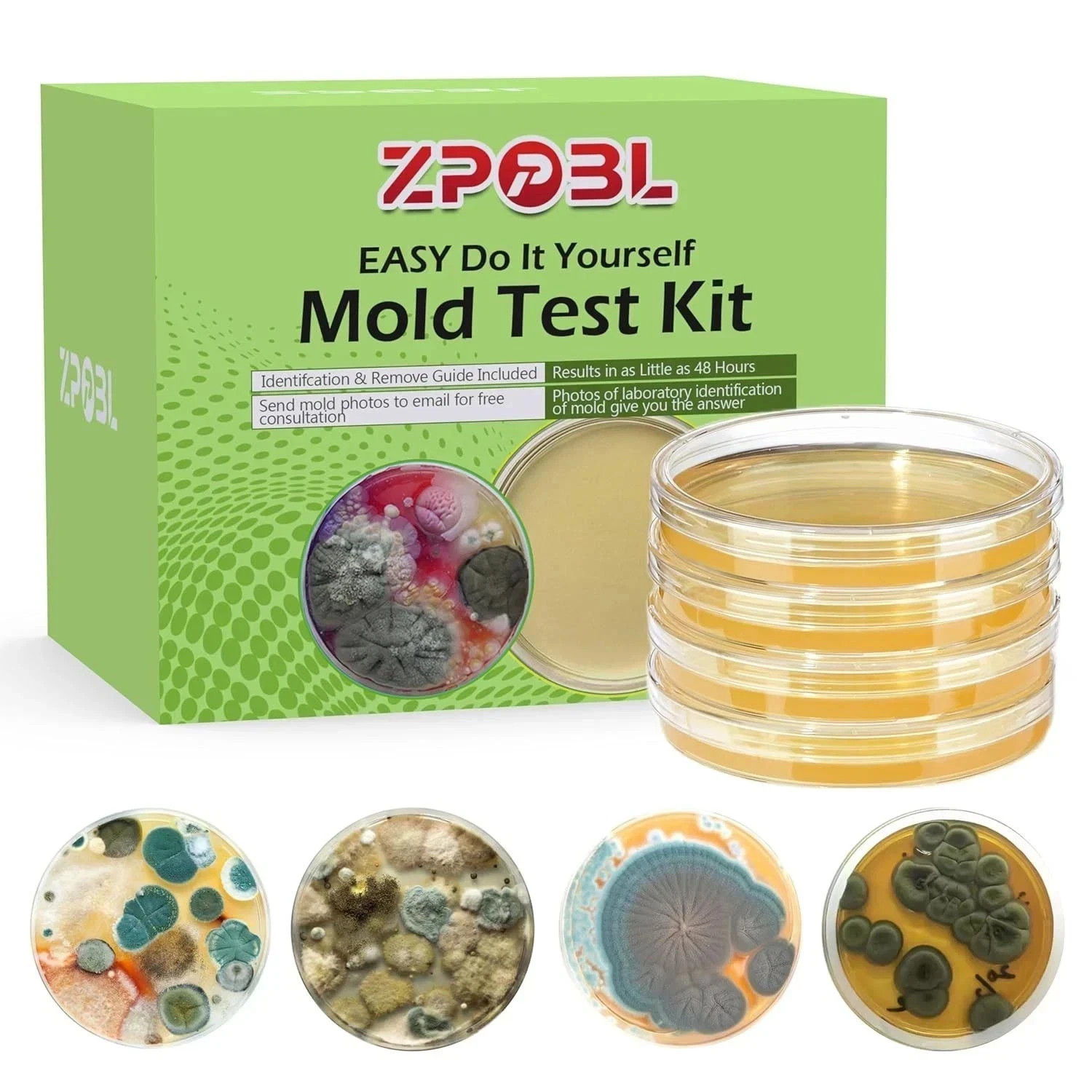 Mold Test Kit for Home, 8 Detection Tests for HVAC, Surfaces & Indoor Air Qualit