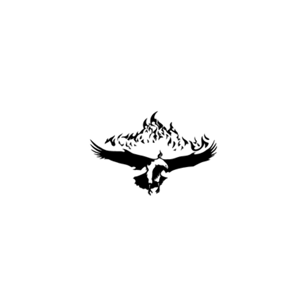 Wings Eagle King - Vinyl Decal Die Cut Vinyl Decal