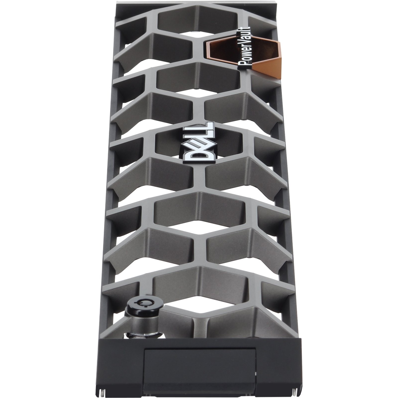 CW8W6 Dell PowerVault MD2412/MD2424 Security Bezel