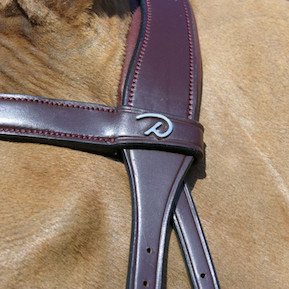 Dion X-FIT Bridle