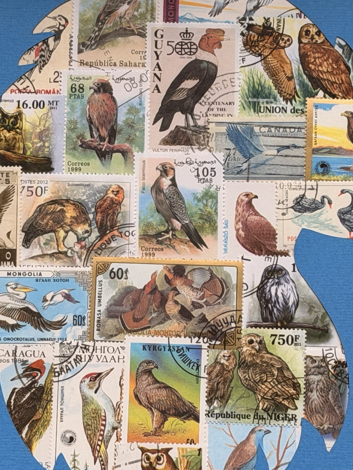 Birds Raptors Postage Stamp Framed Collage 11.5” X 9.5”