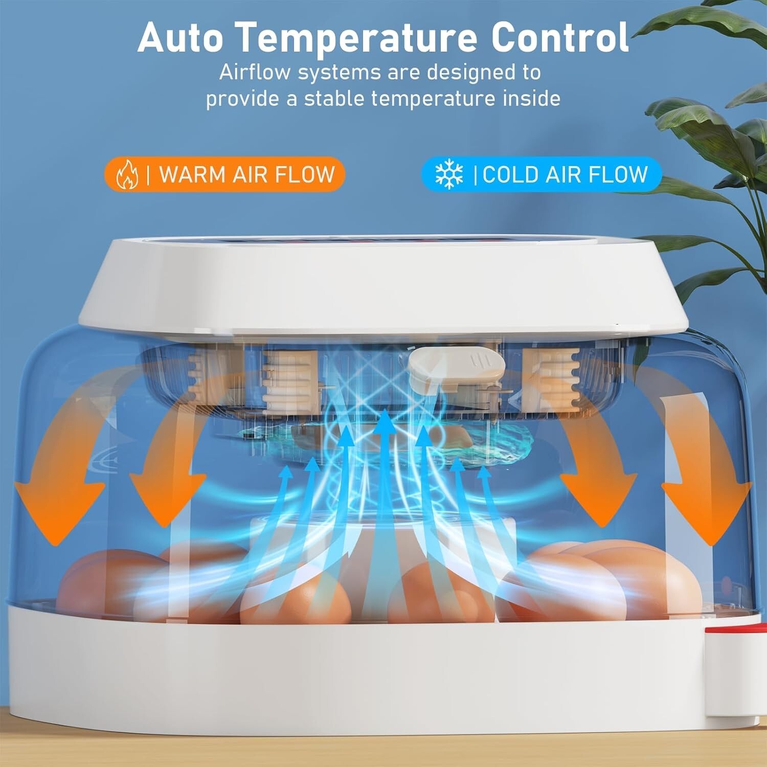 Egg Incubator for Hatching 12 Eggs with Automatic Egg Turning Egg Candler Gift!