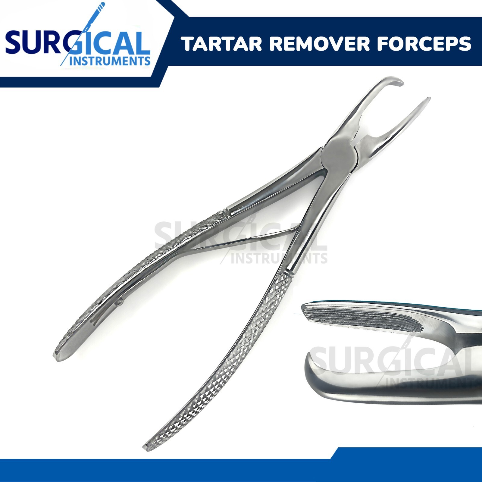 Tartar Remover Forceps Small 7" Dental Surgical Oral Hygiene Plaque German Grade
