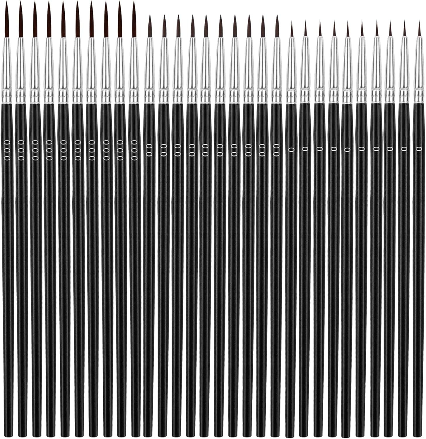Anezus Tiny Detail Paint Brushes 30 Pcs Fine Paint Brushes Set with 3 Size #0#00