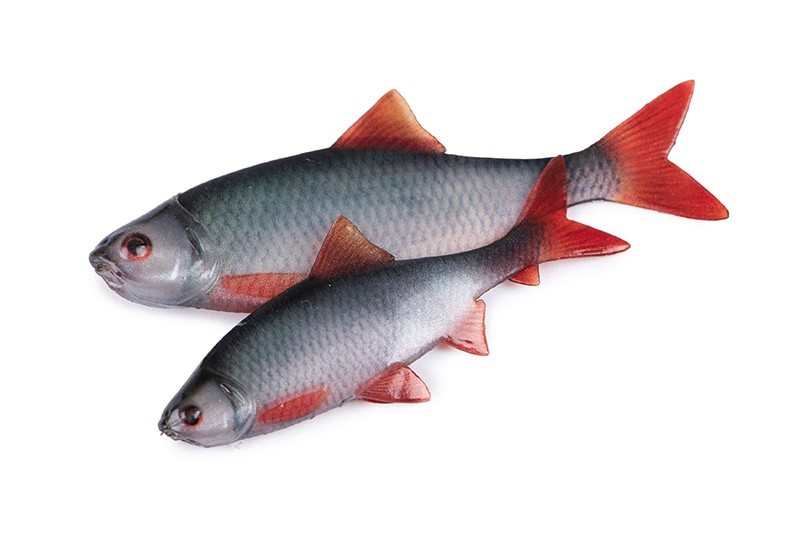 Fox Rage Ultra Natural Fillets / Lures - Roach OR Perch Options