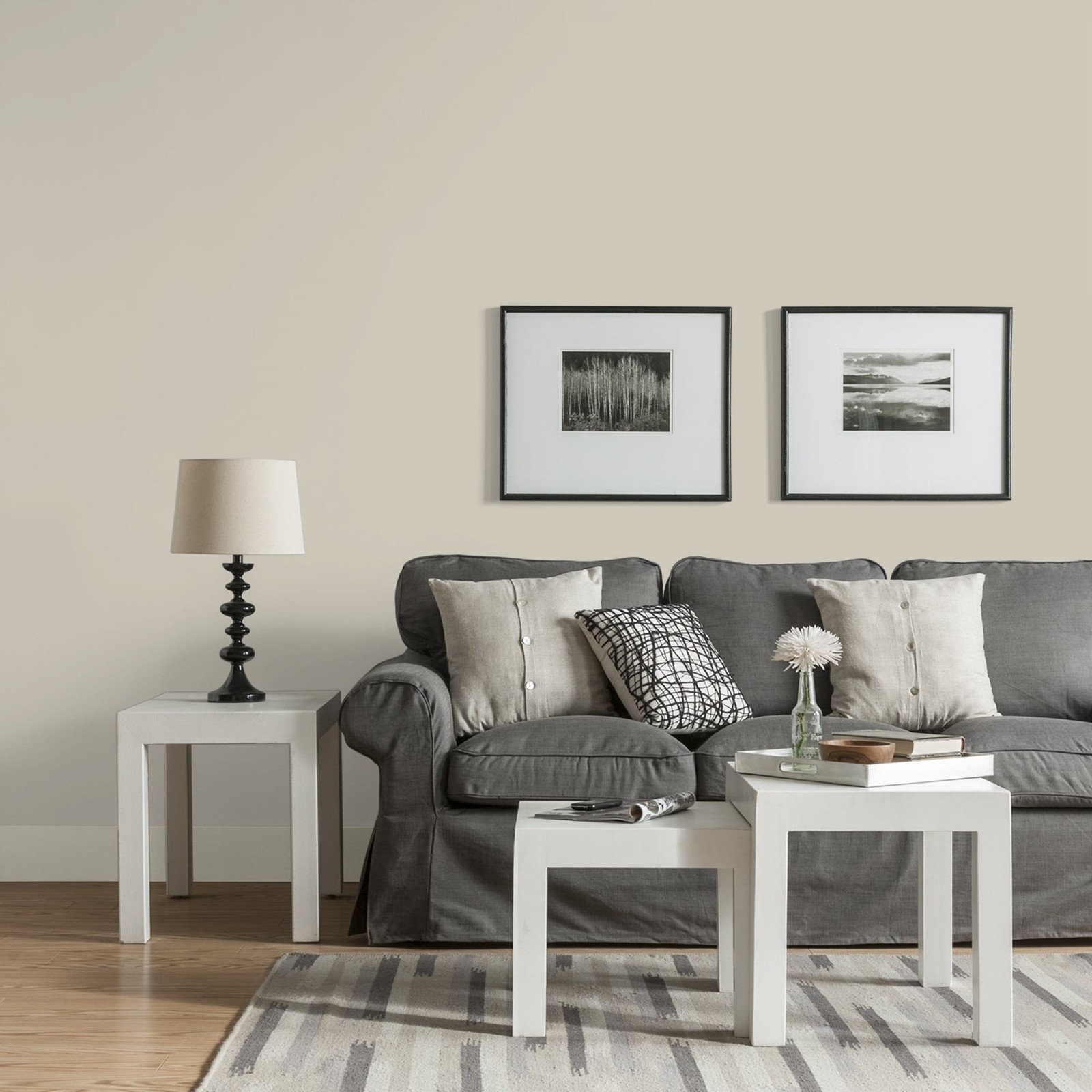Glidden Spred Grab-N-Go Storm's Coming / Gray, Eggshell Interior Paint with
