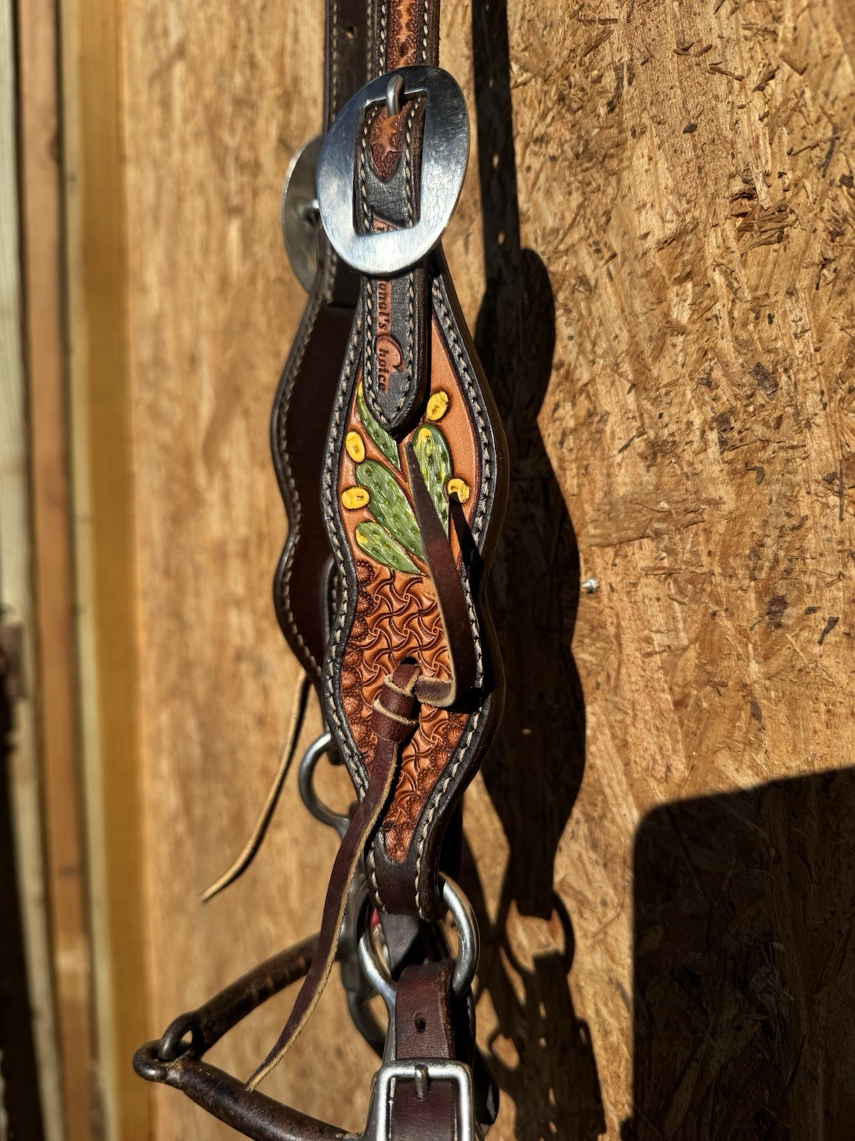 USED PROFESSIONALS CHOICE CACTUS HEADSTALL WITH ARGENTINE SNAFFLE BIT