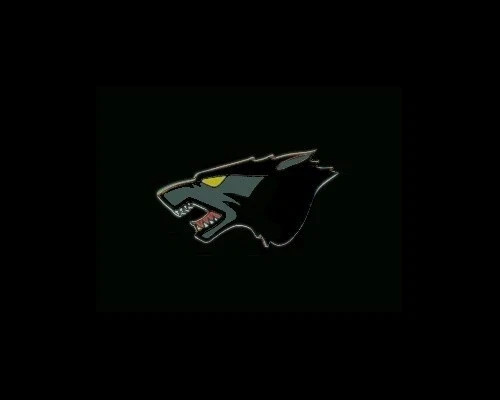 U.S. Air Force Wolfpack Lapel Pin - 1.25"