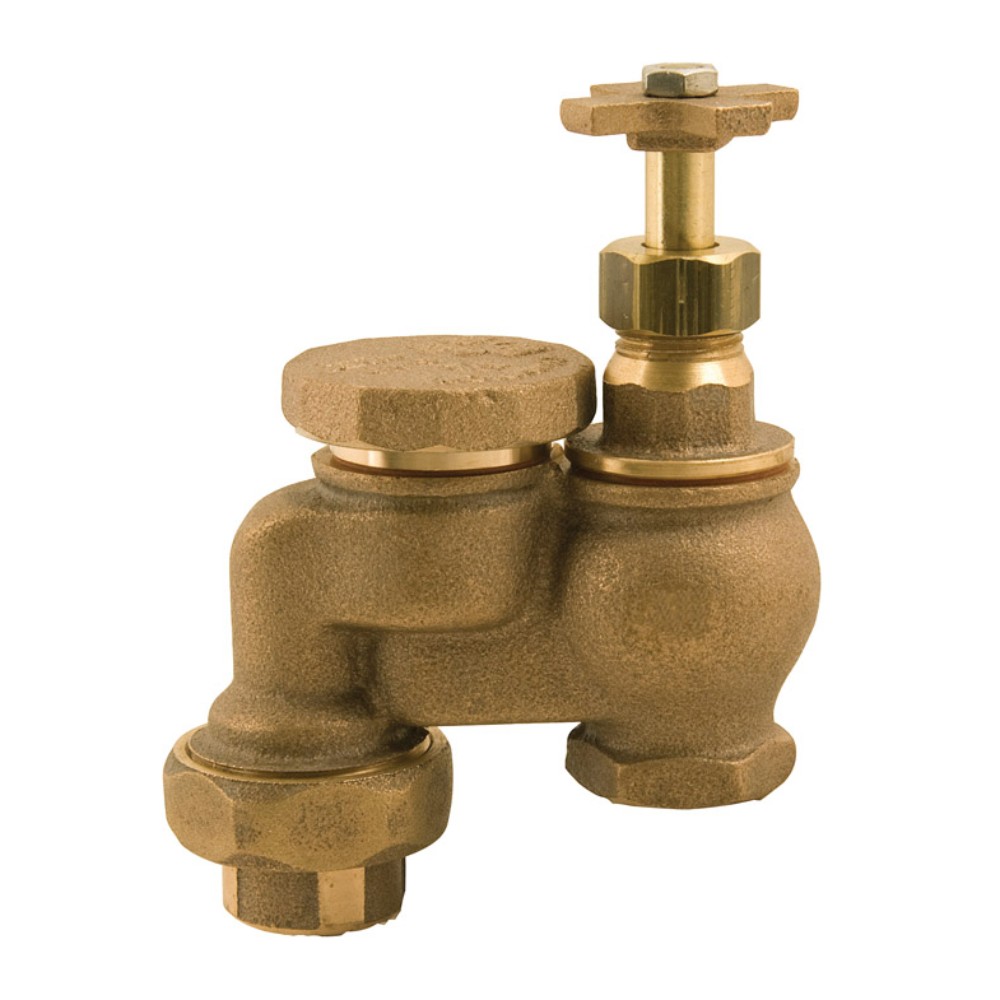 Champion Anti Siphon Valve 1 in 150 PSI (Pack of 2)