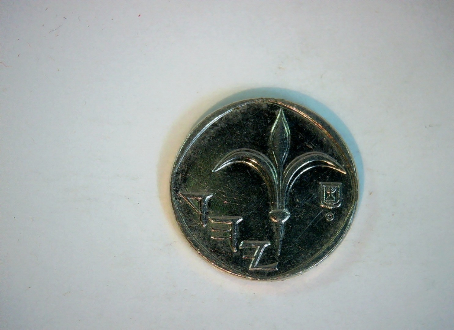 Israel 1 New Sheqel Israel New Sheqel (lily / fleur-de-lis type) Coin