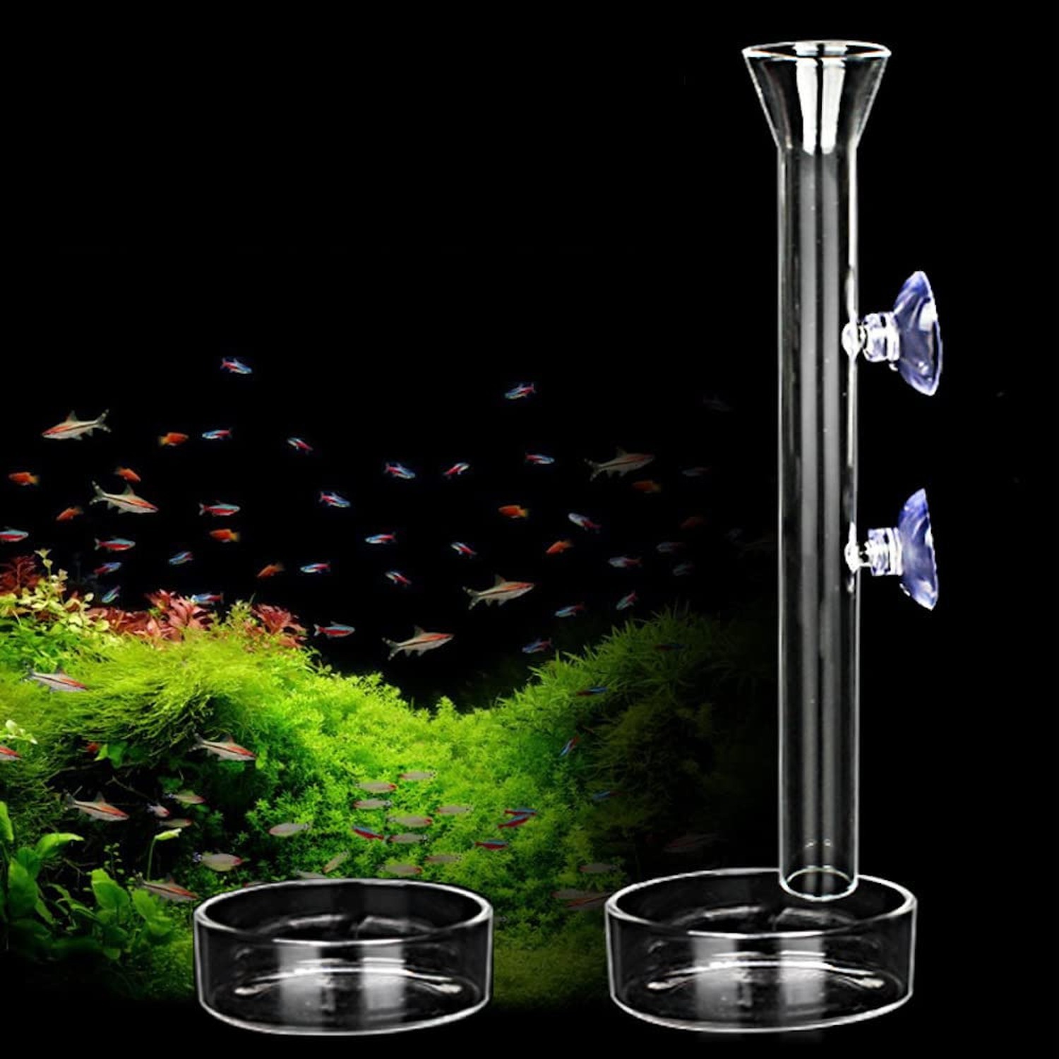 Shrimp Feeding Tube and Dish,2 Cup Clear Crystal Glass Fish Tank Shrimp Feede...