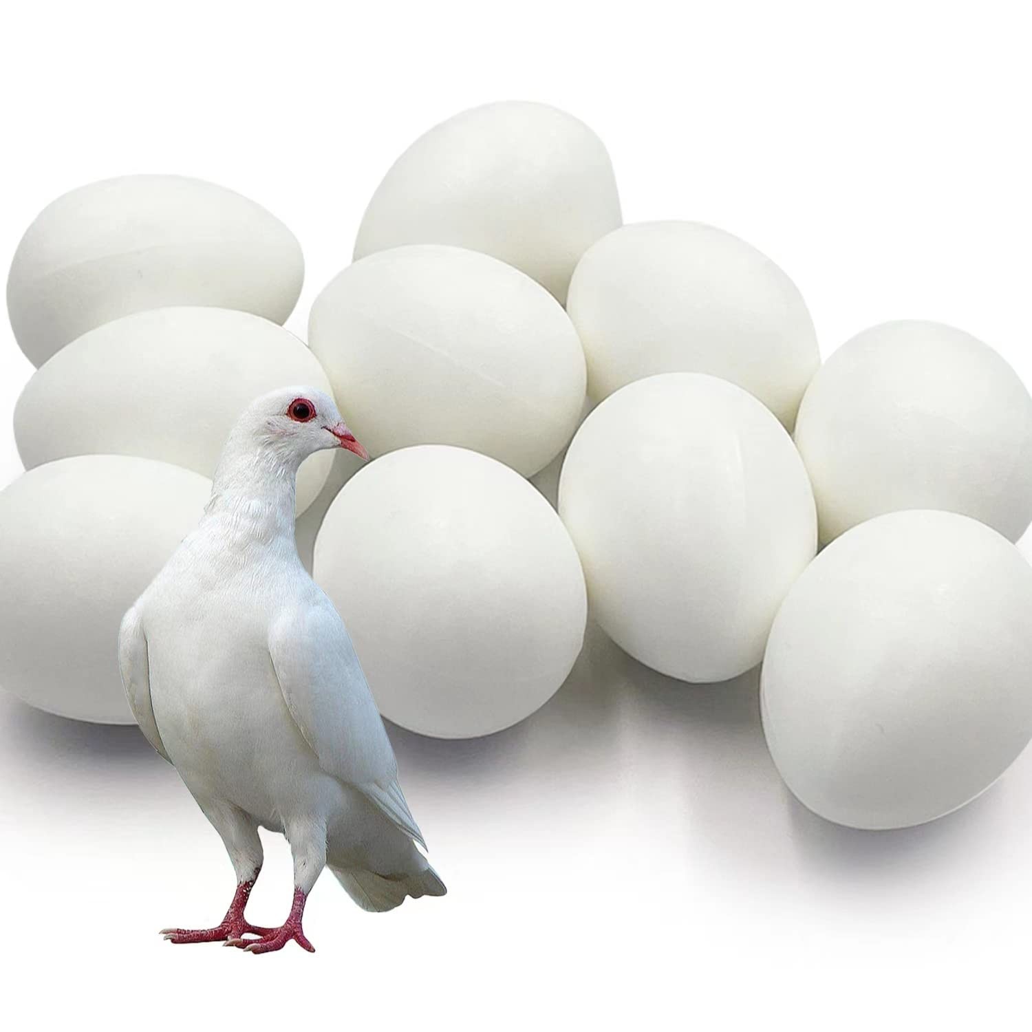 10pcs Solid Plastic Pigeon Eggs Fake for Racing Pigeons Hatching