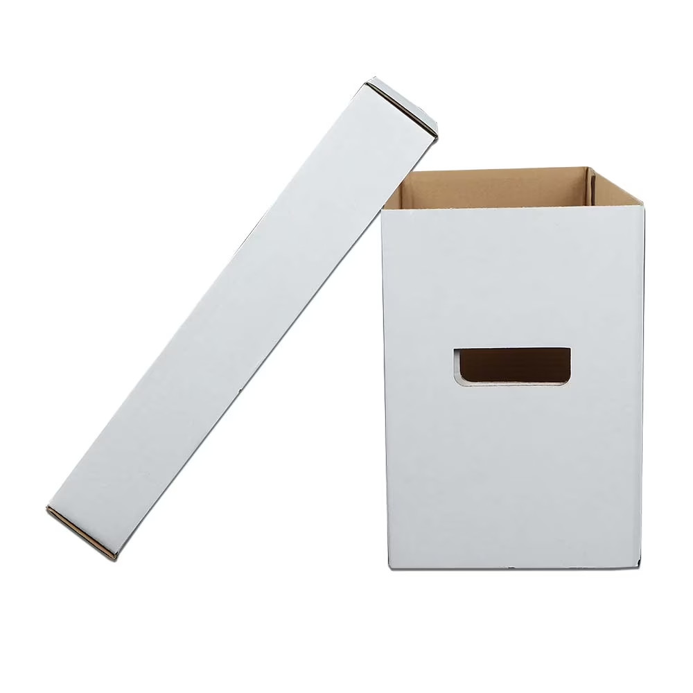 10PCS Comic Books Storage Boxes Short Holds 150-175 Stackable Durable Archive