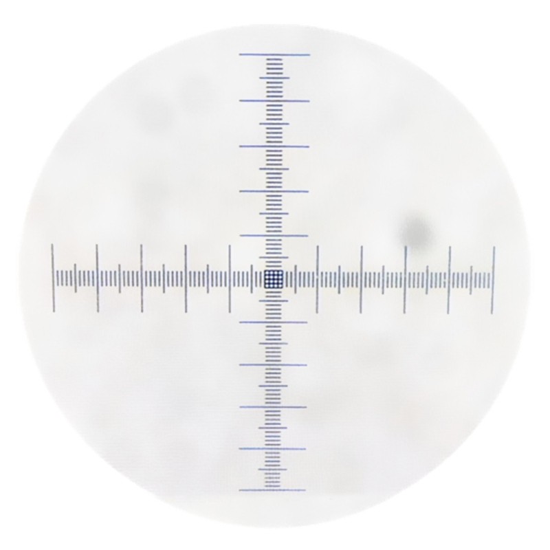 0.01mm Microscope Slides Reticle Calibrating Slide Ruler Cross Calibration Ruler