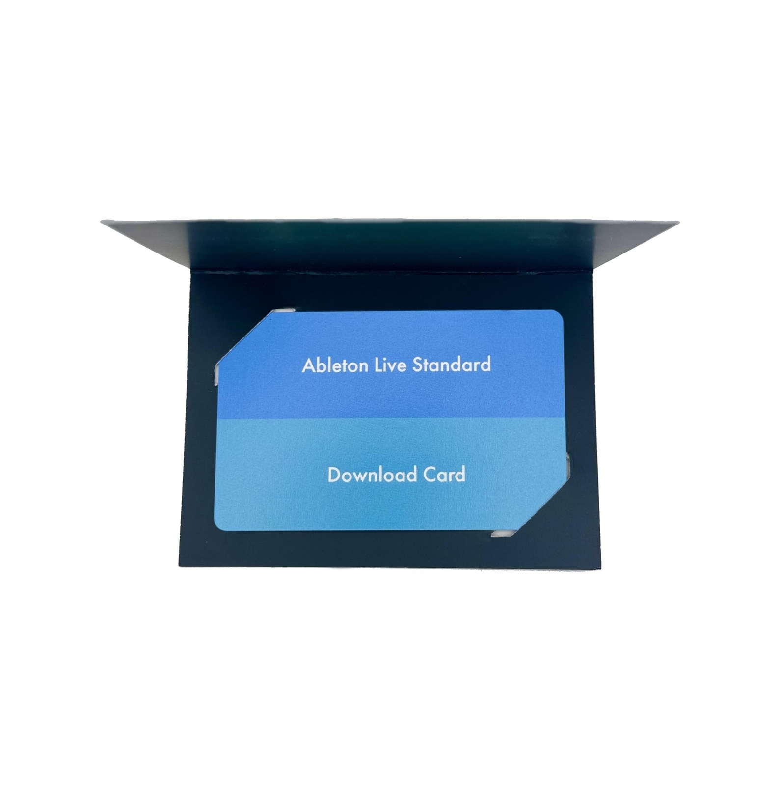 Ableton Live 12 Standard Live Standard
