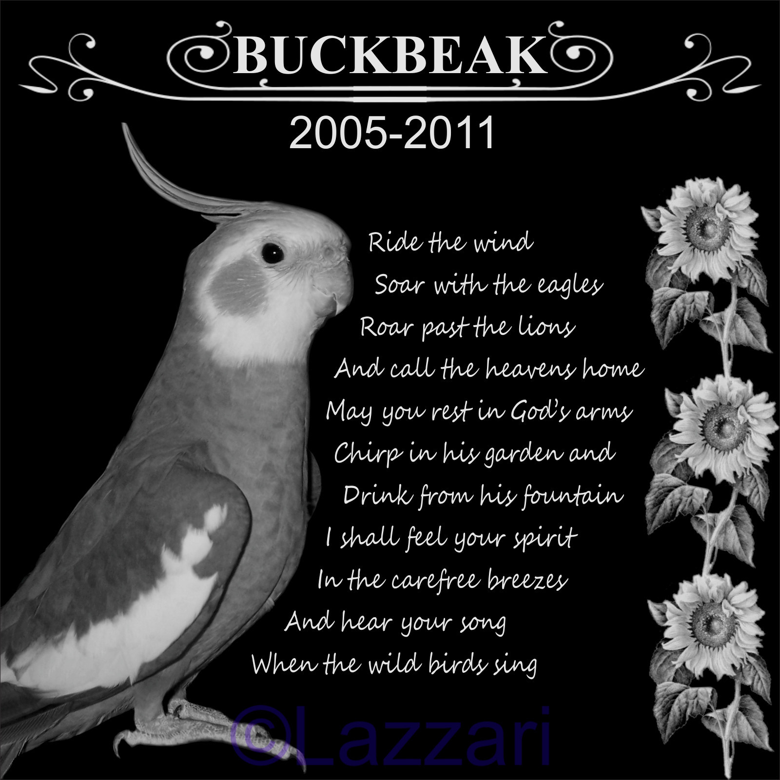 Custom Pet Bird Parrot Memorial Engraved 12x12 Granite Grave Marker w/Your Photo