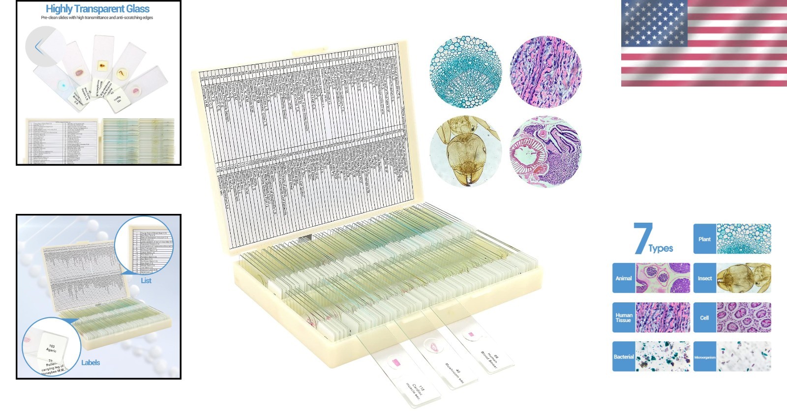 Microscope Slides with Plants and Animals