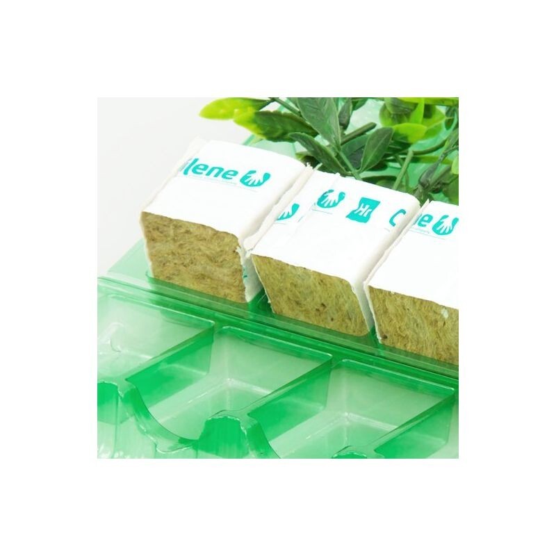 Clone Shipper 5 Plant cell Seed Tray Rockwool or Plugs - Quantity 5