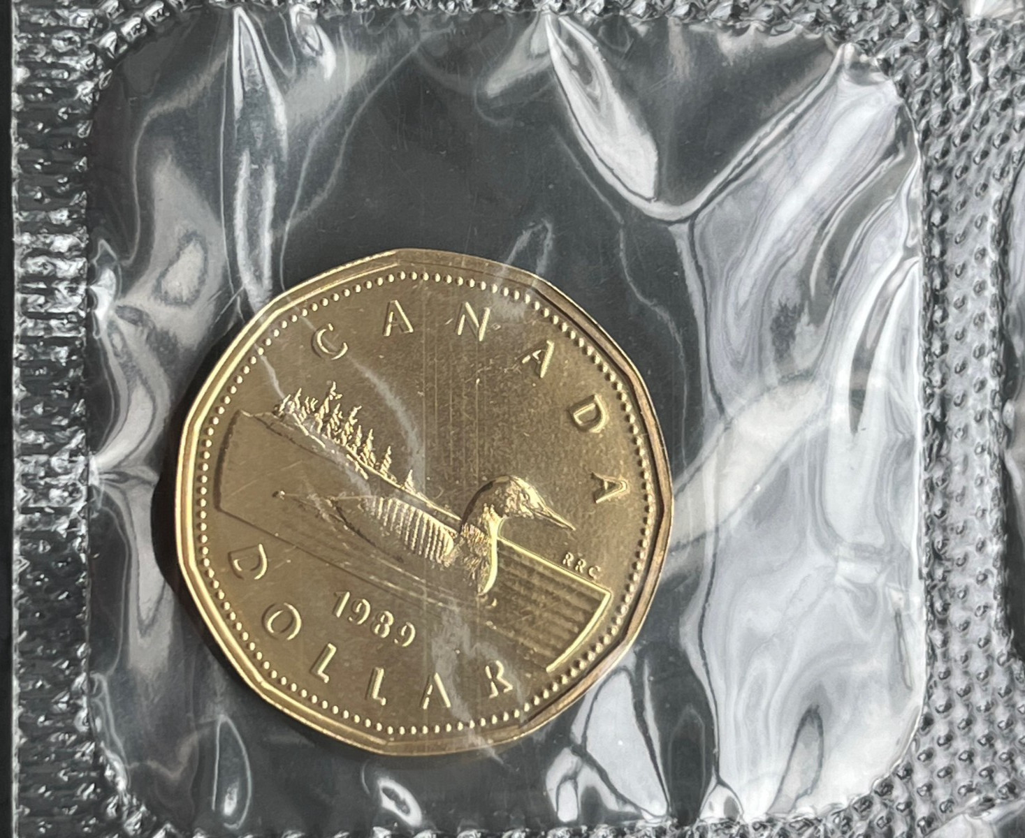 CANADA 1989 UNC Mint-Sealed Loon Loonie $1 One Dollar plucked from a Mint Set