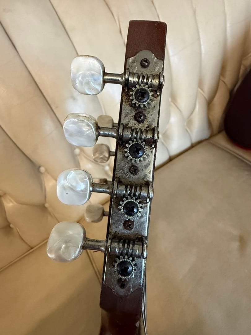 78: Mandolin Spruce body 8 strings