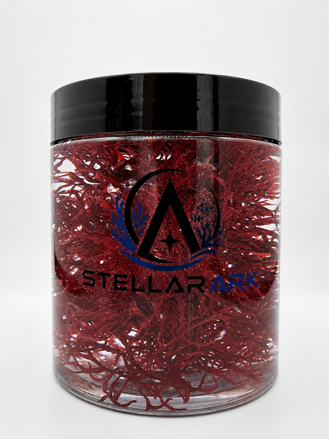 Live Red Pom Pom Macro algae (Gracilaria) Refugium Tank Algae Reef Safe