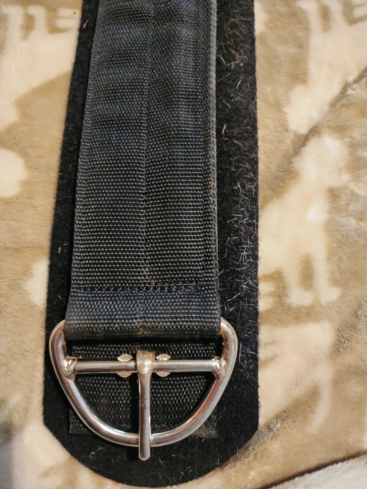 Triple E Western Neoprene Girth..black..34 Inch EUC