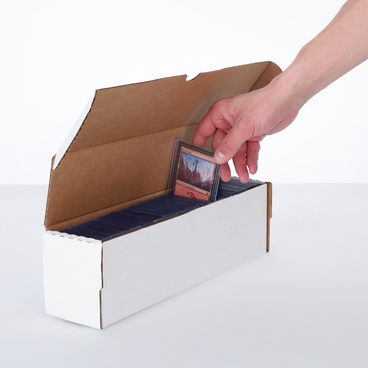 2 BCW 14" Toploader Storage Boxes