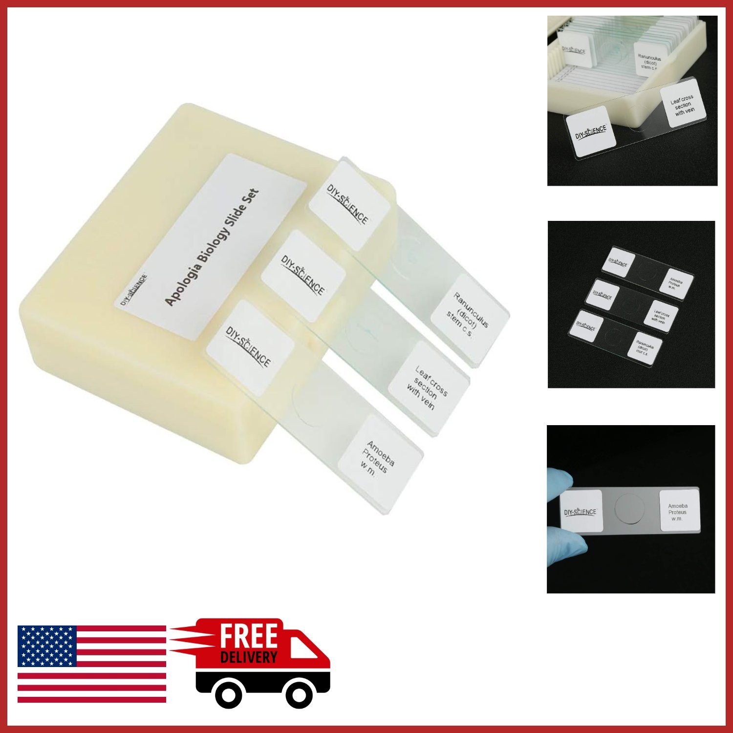 Optical Glass Microscope Slides Set for Apologia Biology 16 Specimens Included