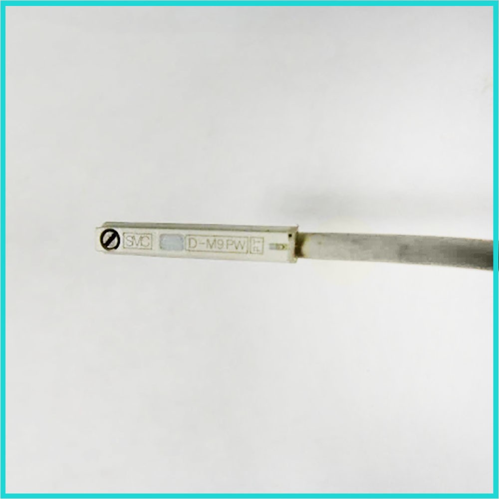 Brand new SMC D-M9PW D-M9PWL D-M9PWM D-M9PWV D-M9PZ magnet switch Fast Shipping