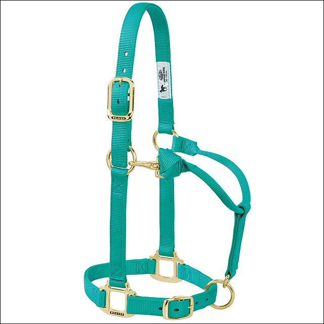 40WL Weaver Nylon Heat Sealed Buckle Halter Adjustable Small Horse Emerald Green