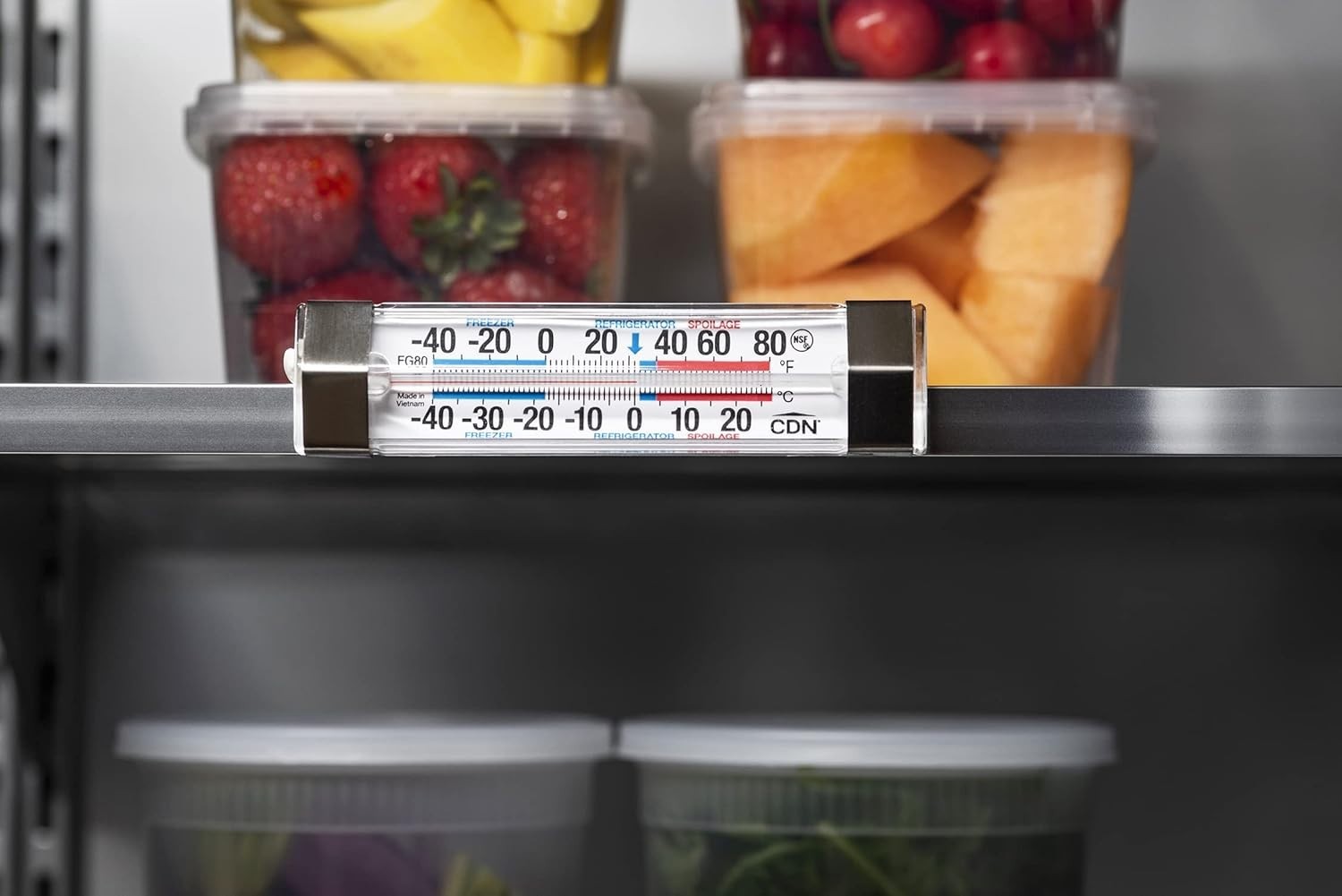Professional Dual Scale Refrigerator/Freezer Thermometer - 5-