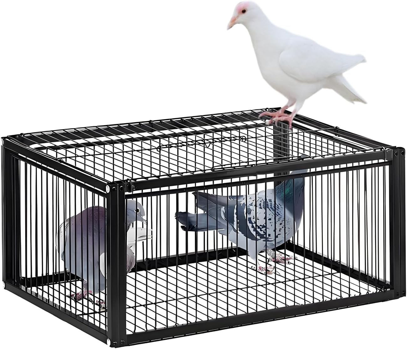 Pigeon Trap Cage, One-Way Entrance Escape-Proof Bird Traps, Easy to Install Outd