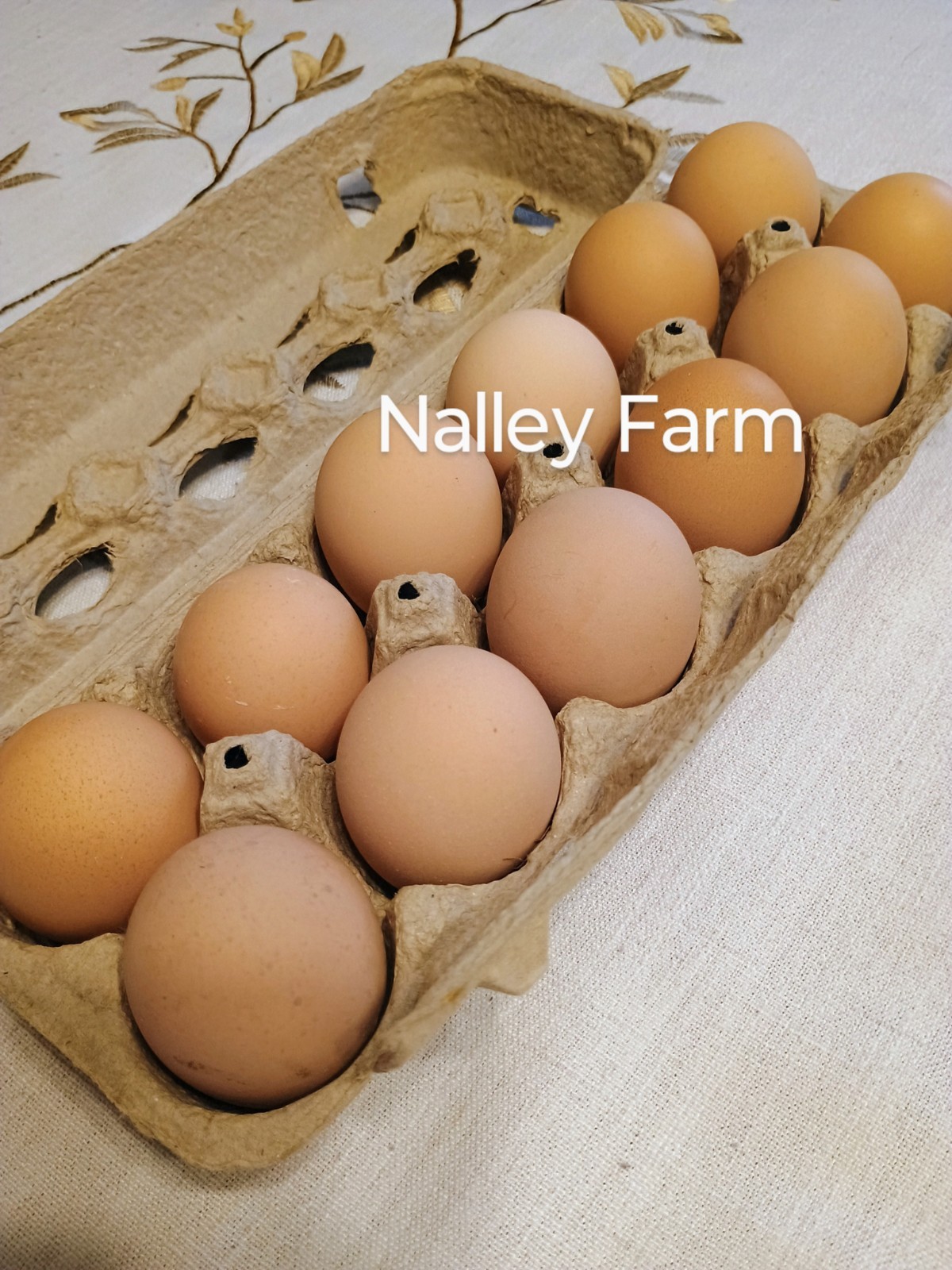 Silver Laced Wyandotte (12) 🐣 fertilized hatching eggs.Please read description.