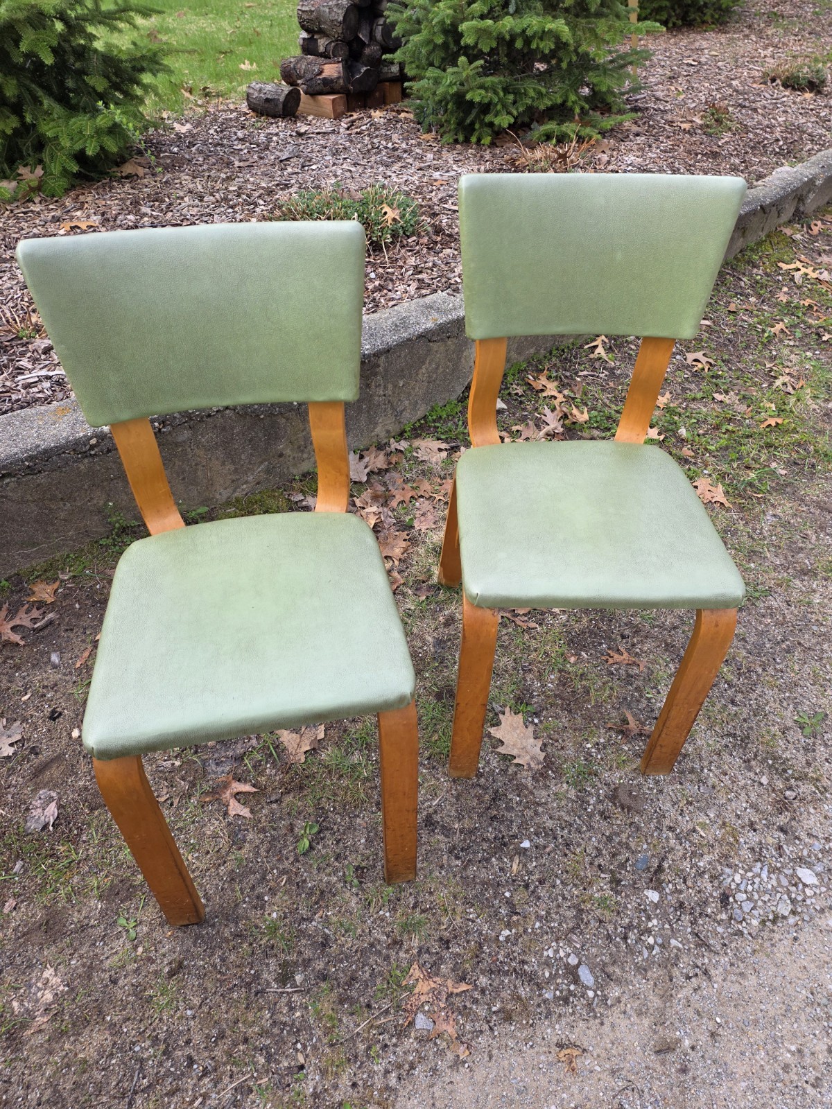 Vintage MCM Mid Century Modern Thonet Bentwood Wood Dining Chairs (Set of 2)