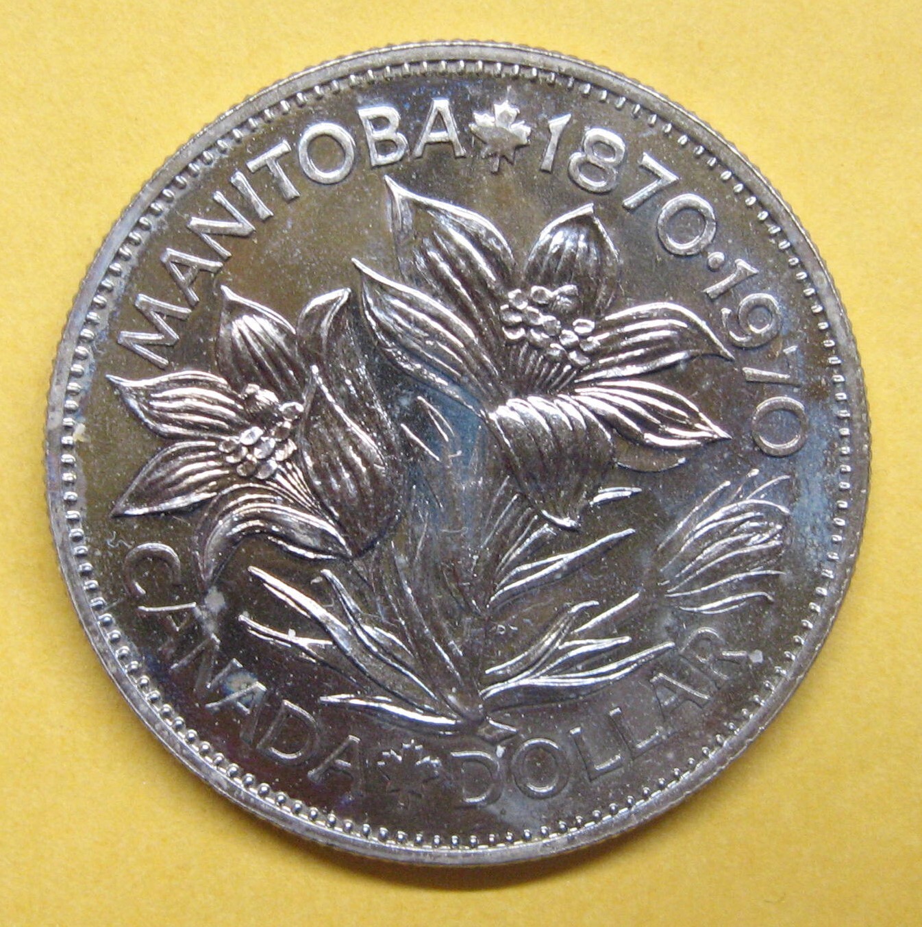 1870-1970 Canadian Dollar Take a Look