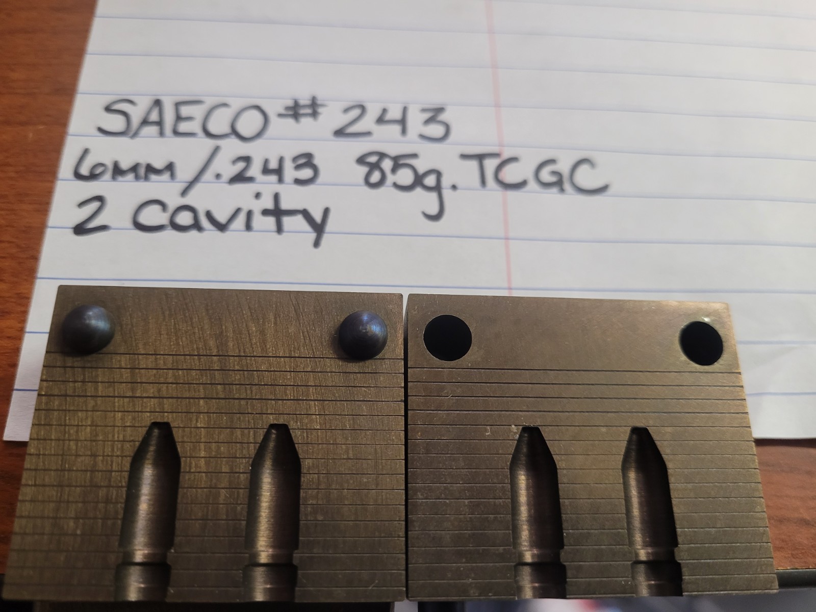SAECO Double Cavity Molds **MULTIPLE AVAILABLE - YOU PICK***