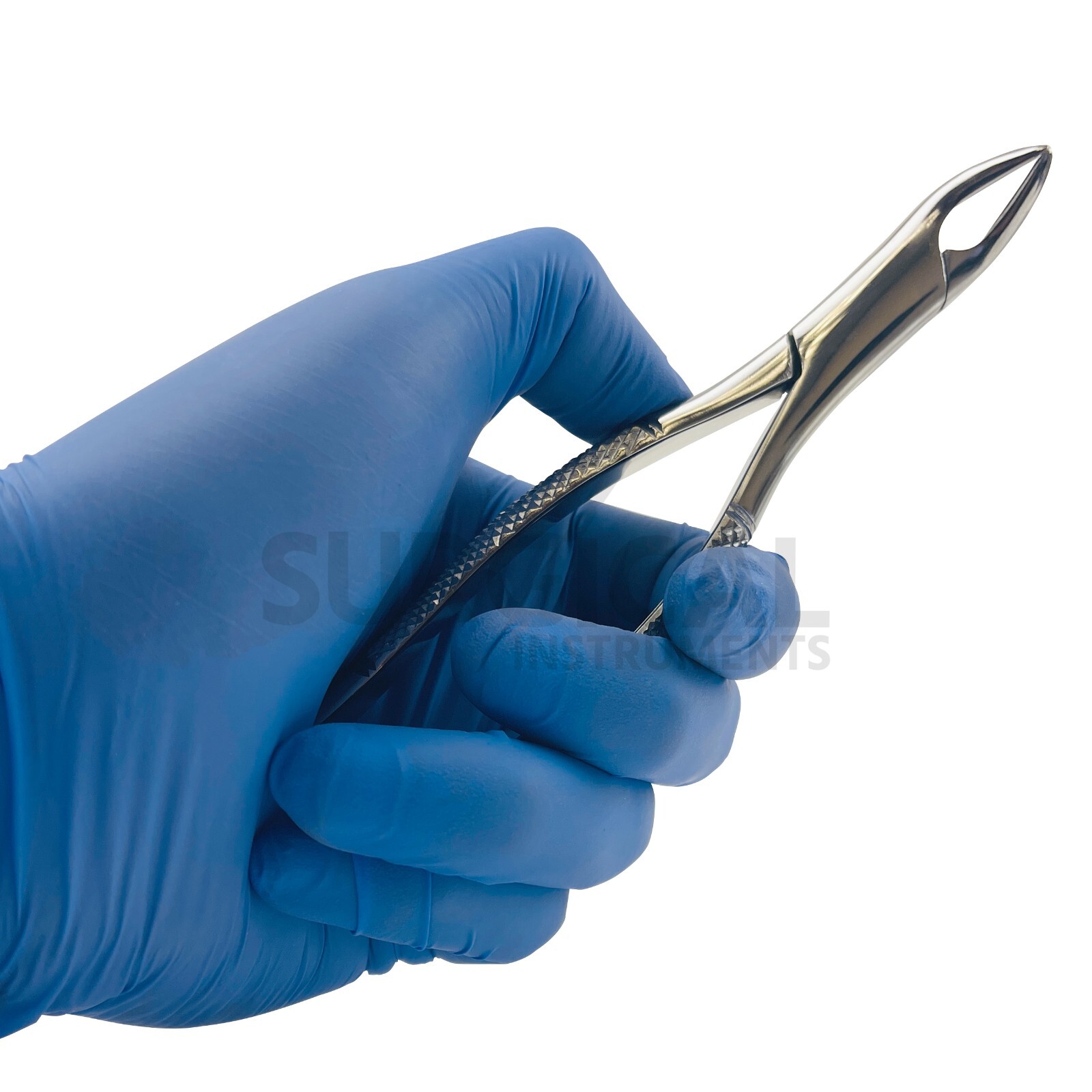 Dental Extracting Forceps #101, Dental Instruments Tools Stainless German Grade