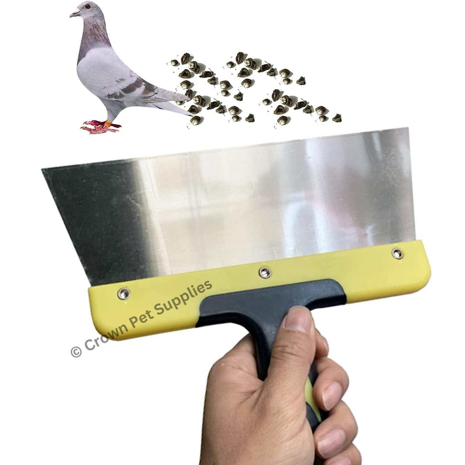 Steel Droppings Scraper Clean Pigeon loft Tool Pigeon Home Nest Cleaning Scraper