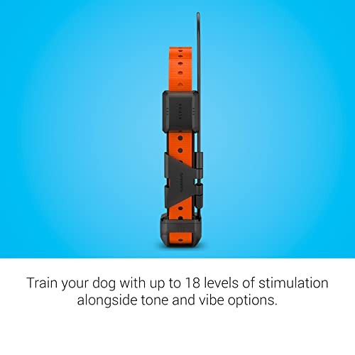 Garmin Alpha 25 TT GPS Dog Training Tracking Collar Kit