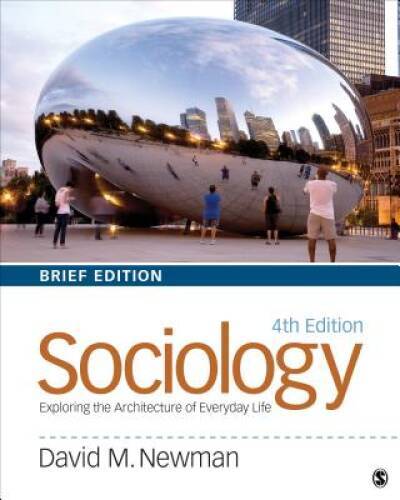 Sociology: Exploring the Architecture of Everyday Life, Brief Edition - GOOD